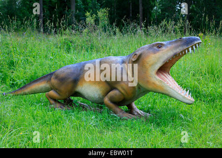 Ambulocetus (Ambulocetus natans), primitiva specie estinte del Galles Foto Stock