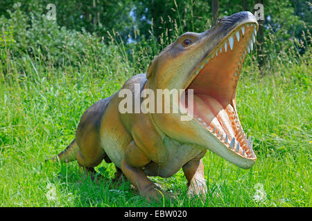 Ambulocetus (Ambulocetus natans), primitiva specie estinte del Galles Foto Stock