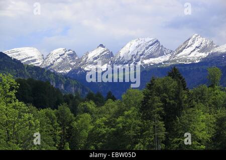 La gamma della montagna Churfirsten nelle Alpi Appenzell, Svizzera, San Gallo, Toggenburg Foto Stock