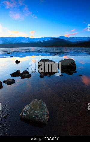 Loch Morlich al mattino, Regno Unito, Scozia, Cairngorms National Park Foto Stock