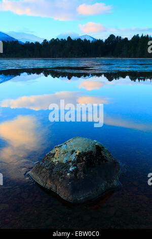 Loch Morlich al mattino, Regno Unito, Scozia, Cairngorms National Park Foto Stock