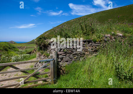 Escursioni lungo la North Devon Coast Foto Stock