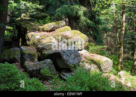 Relitti della parete pagana, Francia, Bas-Rhin, Alsazia, Mont Sainte-Odile Foto Stock