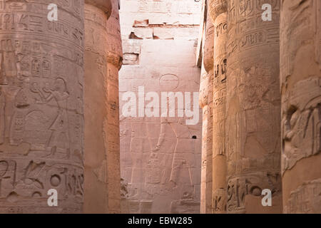 Vista attraverso le colonne della sala grande del Tempio di Karnak a rilievo murale, EGITTO Luxor Karnak Foto Stock