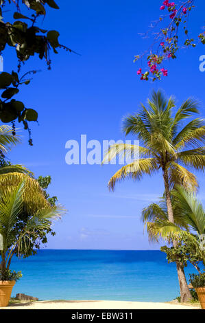 Long Bay Beach , SAINT MARTIN, Baie Longue Foto Stock