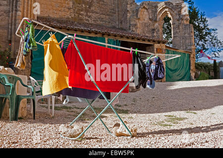 Servizio lavanderia di pellegrino essiccazione su uno stendibiancheria in rovine della chiesa Antonius, Spagna, Kastilien und Le¾n, Burgos, San Anton Foto Stock