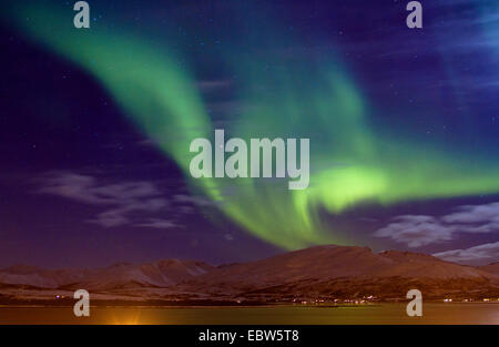 A forma di ventola luce del Nord, Norvegia, Troms, Kval°ya, Troms° Foto Stock