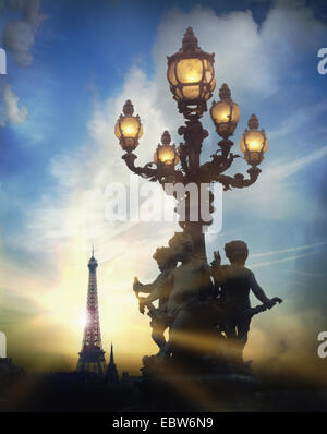FR - PARIS: vista dal Pont Alexandre III Foto Stock