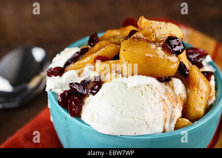 Ciotola di ricca crema gelato alla vaniglia e rabboccato con un apple e salsa di mirtilli con estrema profondità di campo. Foto Stock