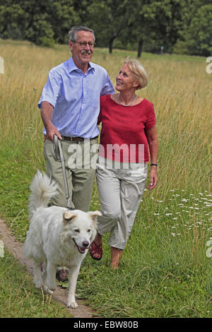 Coppia senior a piedi con un cane Foto Stock