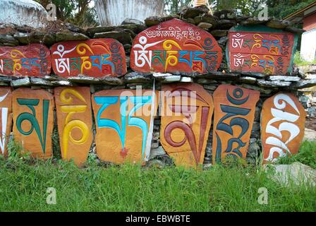 Colore Buddhistic lettere sulla parete del tempio indiano Foto Stock