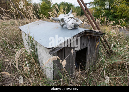 Canile vicino ex radio-laboratorio ecologico (pesce farm prima incidente) in pripjat, Chernobyl Zona di esclusione, Ucraina Foto Stock