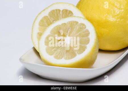 Close up di tagliare e intera Limoni (Citrus limon) su sfondo bianco Foto Stock
