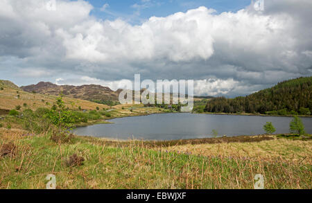 Il pittoresco paesaggio gallese nel Parco Nazionale di Snowdonia con lago orlate da picchi di montagna e circondato da campi di gold & green Foto Stock