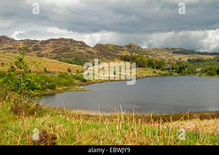 Il pittoresco paesaggio gallese nel Parco Nazionale di Snowdonia con lago orlate da picchi di montagna e circondato da campi di gold & green Foto Stock