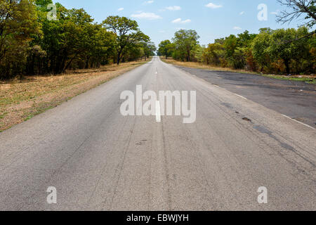 Strada infinita in Namibia, Caprivi Game Park, con cielo blu Foto Stock