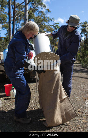 Biologo Lee ha attirato dal volontario e Moira Graham di salvare il diavolo Tassie programma Foto Stock