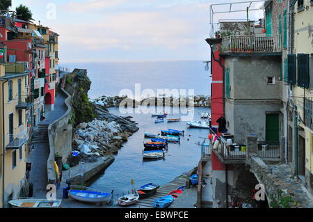 In porto la mattina presto, Riomaggiore Cinque Terre Liguria, Italia Foto Stock