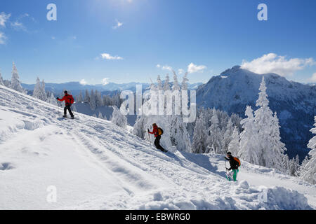 Gli amanti dello sci di fondo sulla montagna di Tegel, Saeuling Mountain nella parte posteriore, Tegelberg, Ammergauer Alpen, Schwangau, Ostallgäu Foto Stock