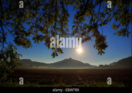 Veste Wachsenburg castello al mattino, Wandersleben, Turingia, Germania Foto Stock