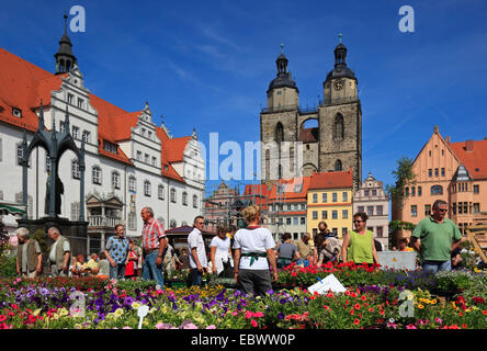 Il mercato dei fiori, antico municipio e chiesa della città in background, Germania, Sassonia-Anhalt, Wittenberg Foto Stock