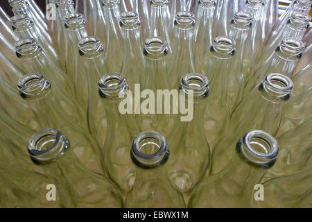 Svuotare le bottiglie di vino in una cantina, in Germania, in Renania Palatinato Foto Stock