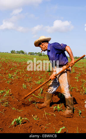 Semplice agricoltore lavora nei campi, Cuba, La Habana Foto Stock