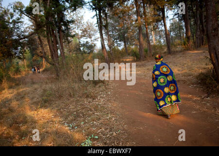 Vecchia donna in abiti tradizionali a piedi sul mercato il polveroso sentiero attraverso la foresta, Burundi, Karuzi, Buhiga Foto Stock