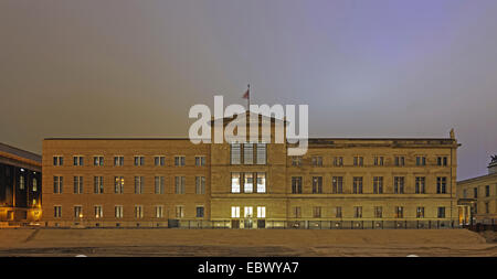 Nuovo museo, Neues Museum, il Museo Island, Museumsinsel, Germania Berlino Foto Stock