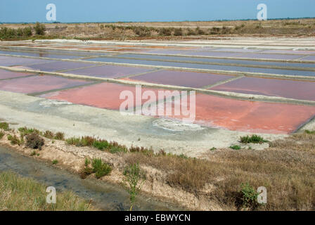 Sale in raffineria Loix, Francia, Poitou-Vende, Insel ri Foto Stock