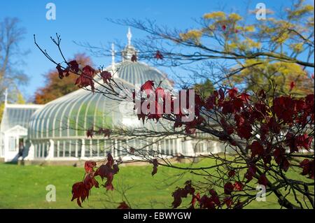 Kibble Palace in Glasgow Botanic Gardens con struttura ad albero e i colori autunnali Foto Stock