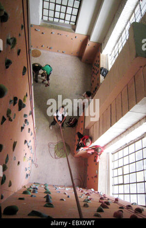 Artificiale di arrampicata in palestra di arrampicata, in Germania, in Renania settentrionale-Vestfalia, la zona della Ruhr, Bochum Foto Stock