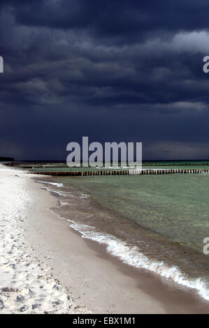 Nuvole nere sulla spiaggia sabbiosa, Germania, Meclemburgo-Pomerania, Darss Foto Stock