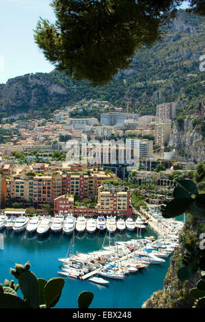 Vista a Monaco con Opuntia in primo piano, Francia, Principato di Monaco Foto Stock