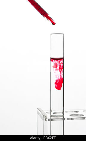 Singolo tubo di prova con liquido incolore in piedi in un tubo di prova rack, un liquido rosso è dribbled in essa con una pipetta Foto Stock