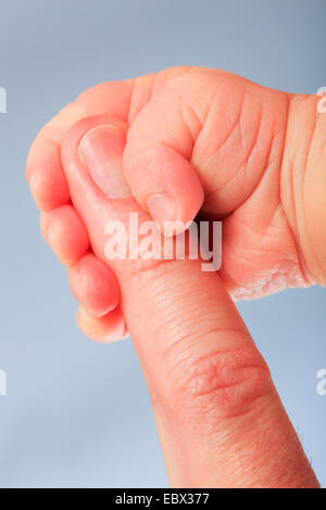 Un bambino tenendo la mano del padre indice Foto Stock