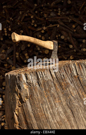 Piccola Ax incorporato in un legno blocco di trinciatura Foto Stock