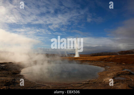 In eruzione geysir Strokkur in inverno, Islanda, Suedwest Isola Foto Stock