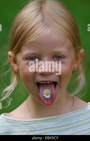 Daisy comune, prato daisy, inglese daisy (Bellis perennis), la ragazza con un fiore sulla sua lingua, Germania