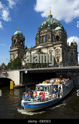 Nave turistica sul fiume Sprea a cattedrale di Berlino, Berliner Dom, Germania Berlino Foto Stock