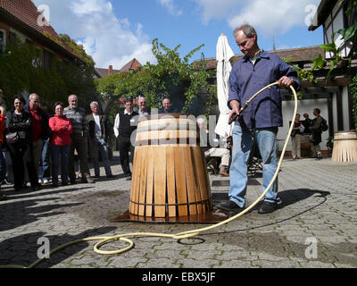 Realizzazione di una quercia botte di vino, in Germania, in Renania Palatinato, Siebeldingen Foto Stock