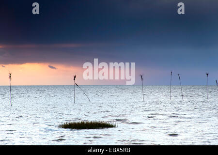 Vista sul mare aperto con segnato il passaggio di spedizione, Germania, Bassa Sassonia, Vogtlaendische Schweiz, Dorum-Neufeld Foto Stock