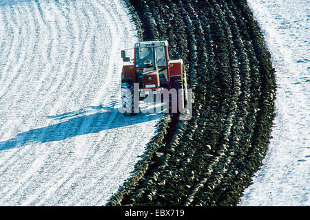 L'aratura di un campo Foto Stock
