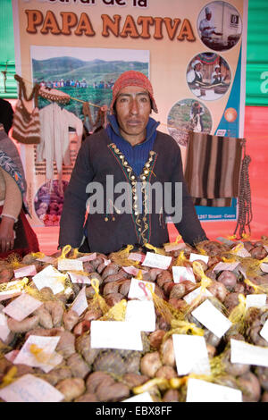 Fruttivendolo al mercato la vendita di patate indigene, Perù, Cuzco Foto Stock