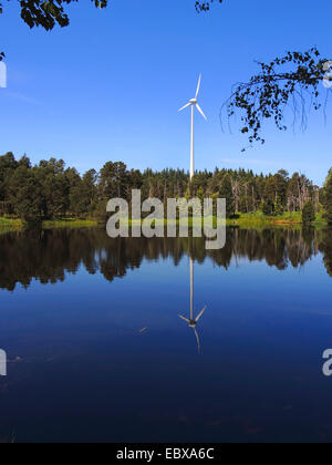 Moor pond con il perno ruota in background, GERMANIA Baden-Wuerttemberg, Blindensee NSG Foto Stock