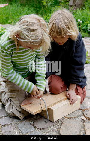 I bambini sono la realizzazione di un disidratatore apple; bambino è segare scanalature in una parte laterale di sospendere le aste, Germania Foto Stock