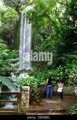 La cascata nel Parco degli Uccelli di Jurong, Singapore Foto Stock