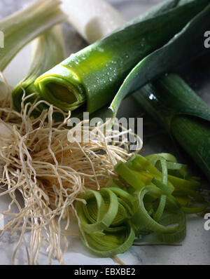 Il Porro (Allium porrum), vegetali Foto Stock