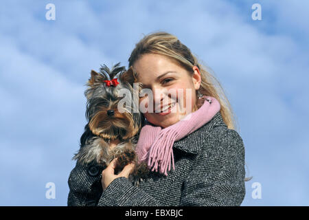 Yorkshire Terrier (Canis lupus f. familiaris), giovane donna tenendo le sue sette mese nello Yorkshire Terrier nelle sue braccia Foto Stock