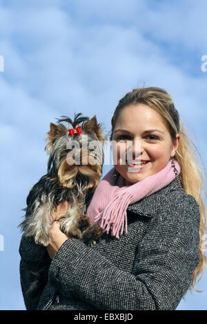 Yorkshire Terrier (Canis lupus f. familiaris), giovane donna tenendo le sue sette mese nello Yorkshire Terrier nelle sue braccia Foto Stock